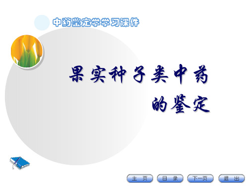 中药鉴定学PPT课件：果实种子类中药