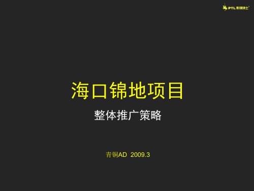 青铜骑士_海口锦地项目广告竞稿策略_100PPT