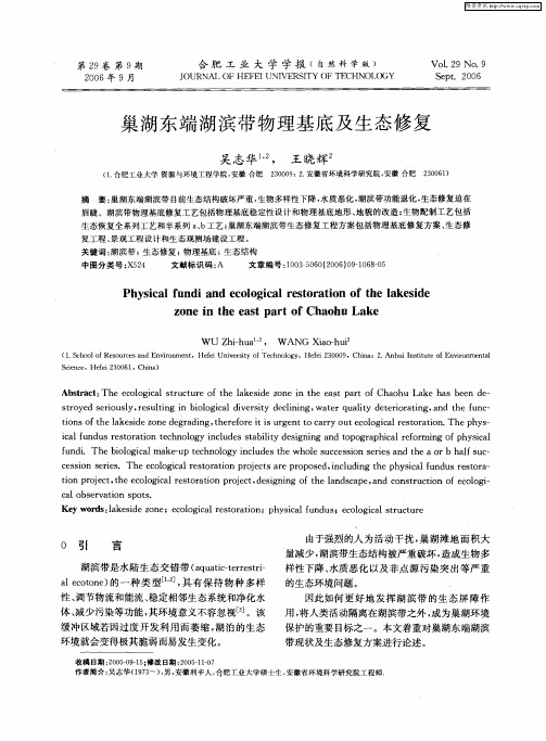 巢湖东端湖滨带物理基底及生态修复