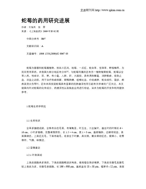 蛇莓的药用研究进展