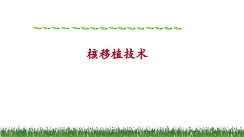 6-2-核移植技术