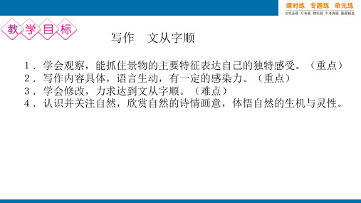 人教版七年级下册语文第五单元写作 文从字顺