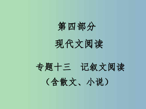 中考语文满分特训方案 第四部分 专题十三 记叙文阅读课件