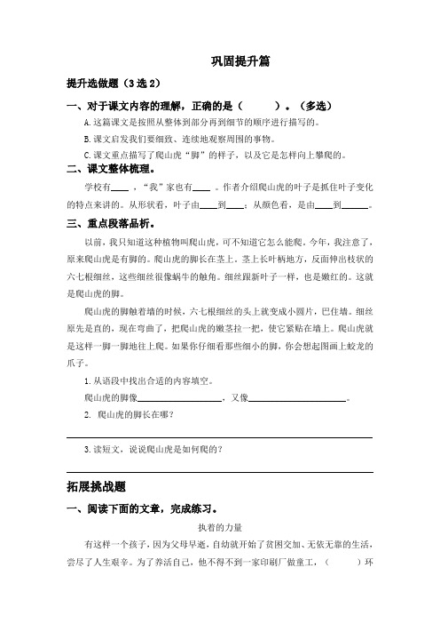 最新人教部编版小学四年级语文上册《爬山虎的脚》同步课时分层作业设计(附参考答案)