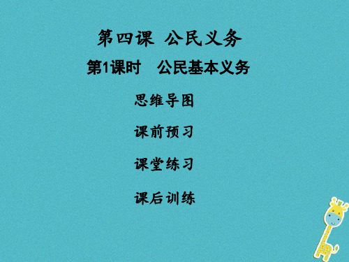 部编道德与法治八年级下册全册习题课件28套,含答案19