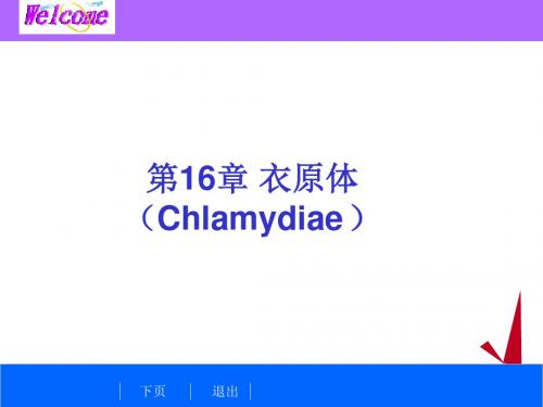 细菌学检验-衣原体