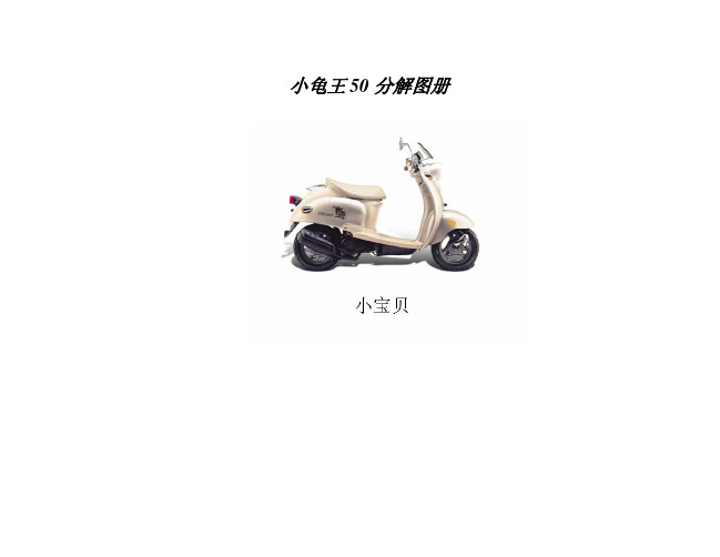 小宝贝(小龟王)踏板摩托车维修图册