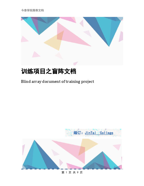 训练项目之盲阵文档