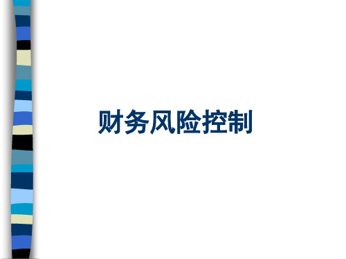 财务风险控制(ppt 34页)