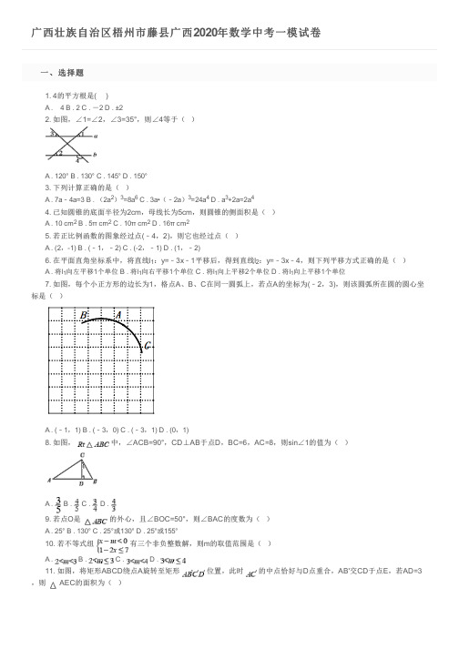 广西壮族自治区梧州市藤县广西2020年数学中考一模试卷及参考答案