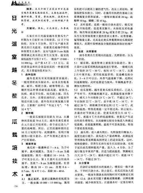 日光温室越冬茬黄瓜栽培技术