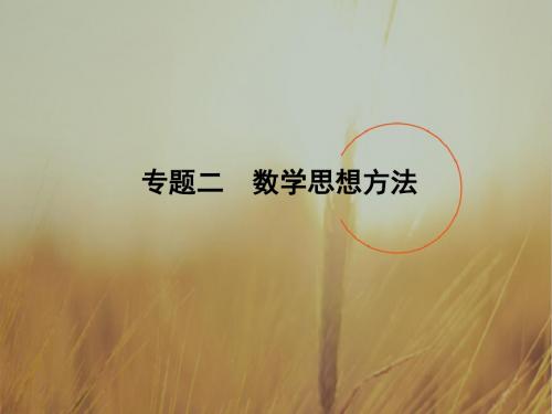 2018届高三数学文二轮复习课件全国通用方法突破 专题
