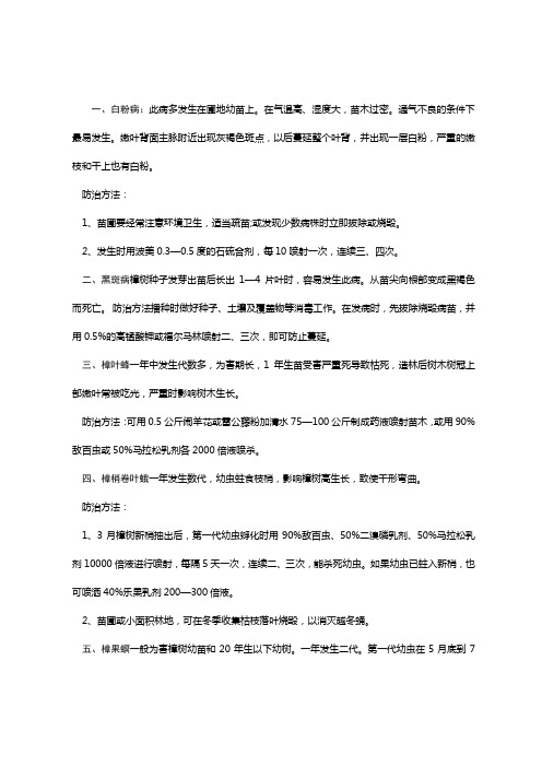 香樟树的常见病症