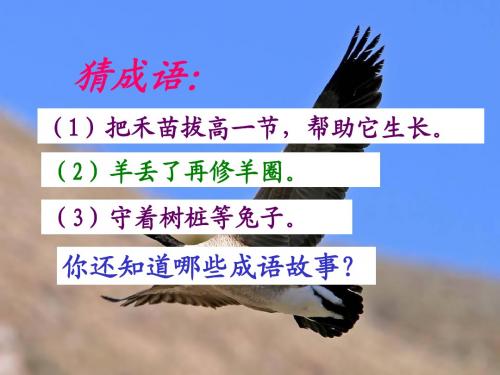 10_惊弓之鸟