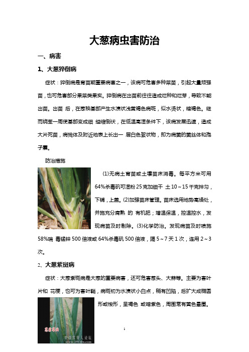 大葱病虫害防治(有图)