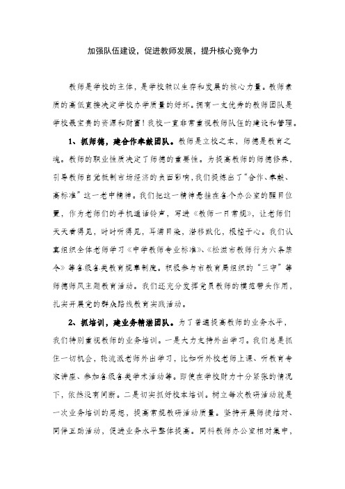 加强队伍建设  促进教师发展  提升核心竞争力