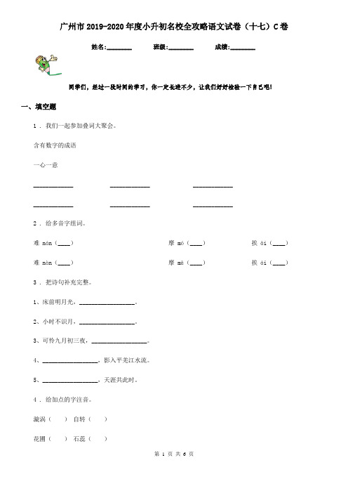 广州市2019-2020年度小升初名校全攻略语文试卷(十七)C卷