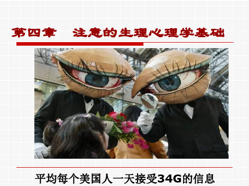 生理心理学第四章_注意
