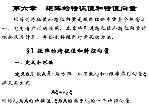 线性代数--第六章  特征值和特征向量讲解