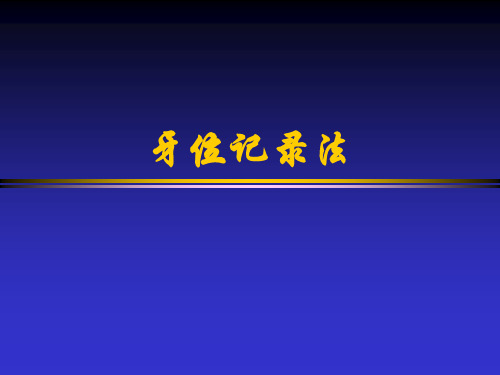 牙位记录