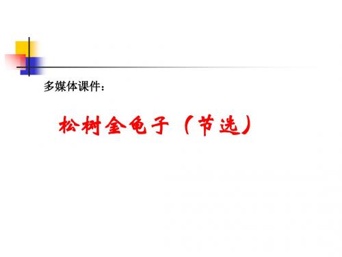 松树金龟子PPT1 苏教版 (共10张PPT)