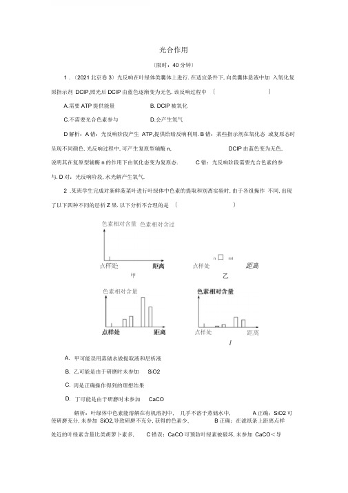 高三生物一轮复习第三单元第10讲光合作用作业含解析新人教版