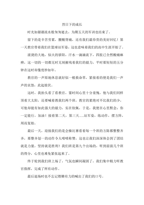 烈日下的成长--作文