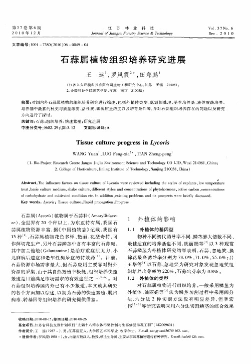 石蒜属植物组织培养研究进展