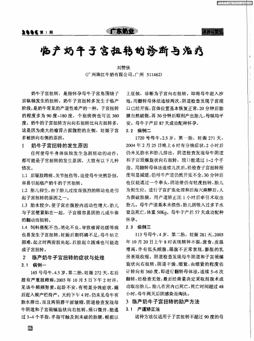 临产奶牛子宫扭转的诊断与治疗