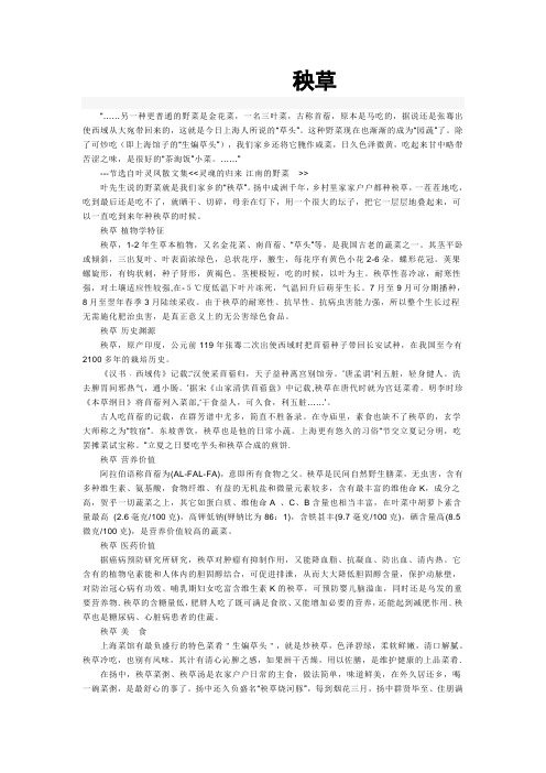秧草