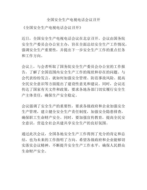 全国安全生产电视电话会议召开