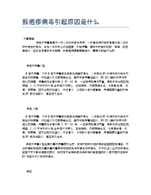 猴疱疹病毒引起原因是什么【健康必备常识】