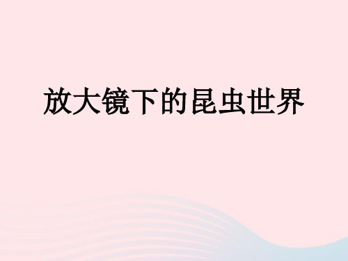六年级科学下册第一单元微小世界2放大镜下的昆虫世界课件教科版6