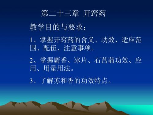 第二十三章开窍药