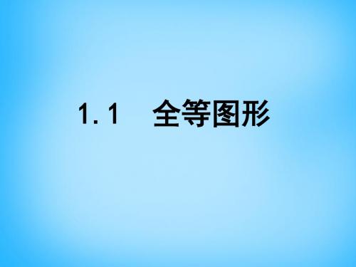 2019年秋苏科初中数学八年级上册《1.1 全等图形》PPT课件 (3).ppt