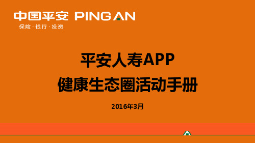 平安保险E化行销ppt课件