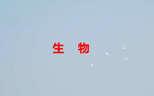 2019高中生物学业水平复习：专题二考点5细胞核的结构和功能 