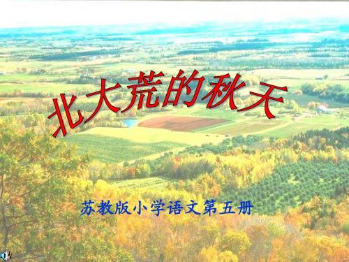 5《北大荒的秋天》ppt