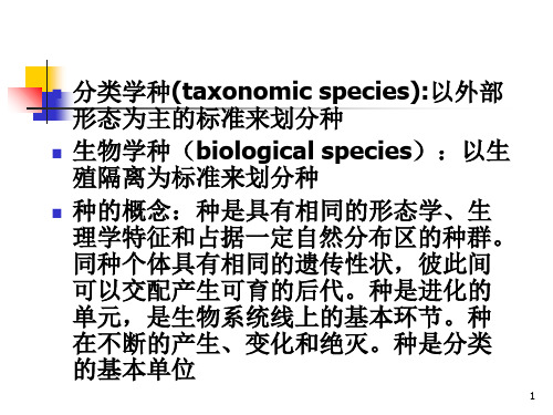 植物学12藻类植物PPT课件