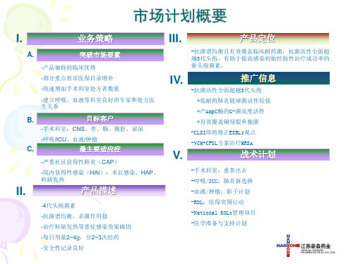 江苏豪森药业-市场目标、策略及行动32页PPT