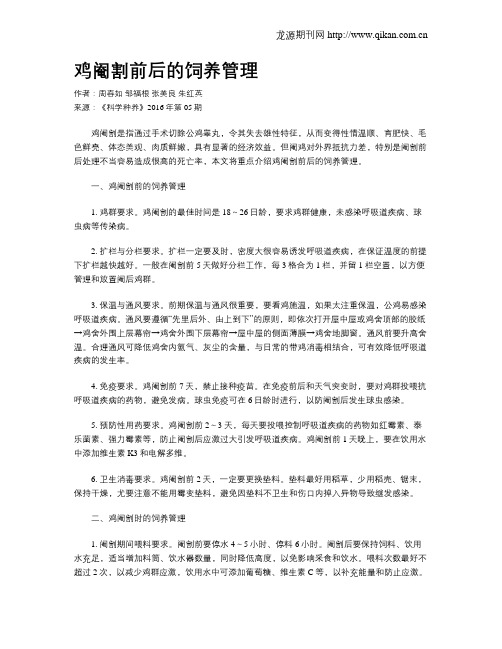 鸡阉割前后的饲养管理