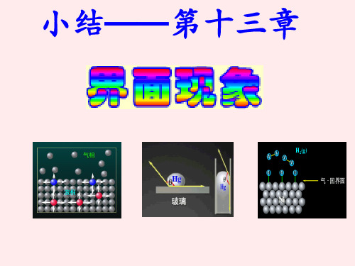 物理化学(第五版)》第十三章复习题答案