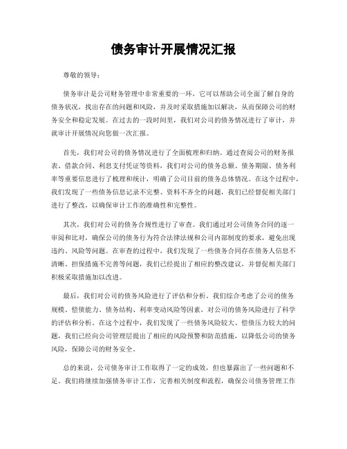 债务审计开展情况汇报