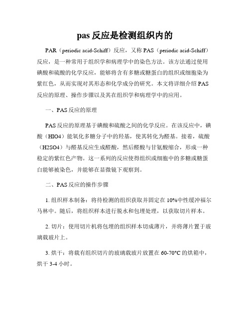 pas反应是检测组织内的