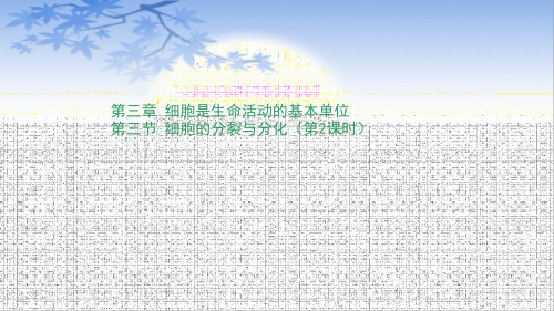 苏教版生物七年级上册：2.3.3细胞分裂与分化 -课件