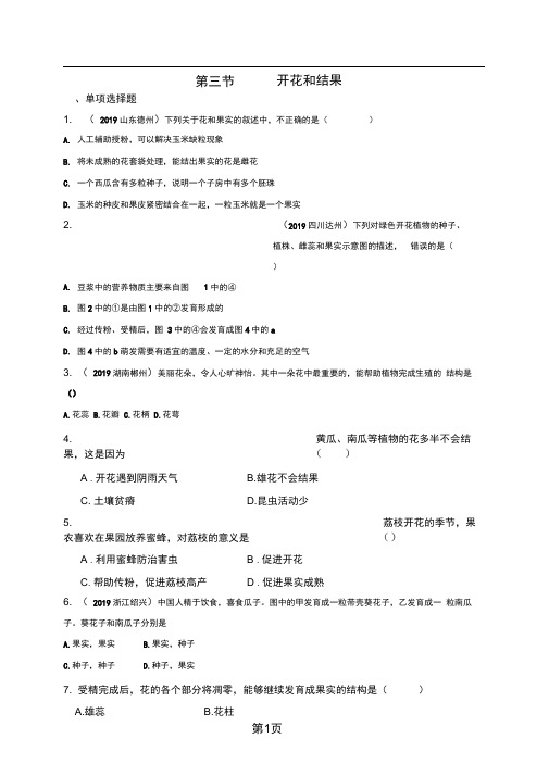 生物七年级上人教版323开花和结果同步练习