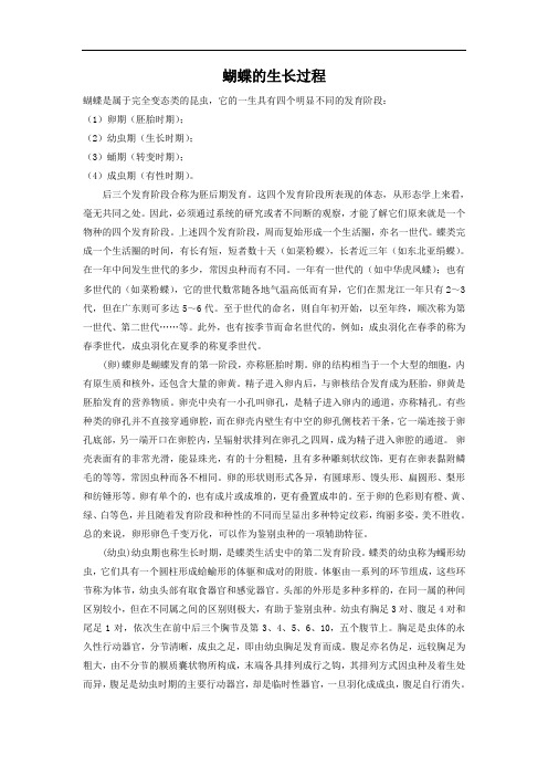 蝴蝶的生长过程