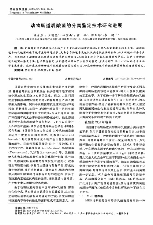 动物肠道乳酸菌的分离鉴定技术研究进展