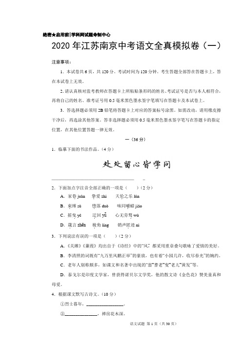 2020年江苏南京中考语文全真模拟卷(解析版)(一)
