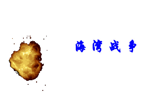 海湾战争 PPT课件4 人教课标版